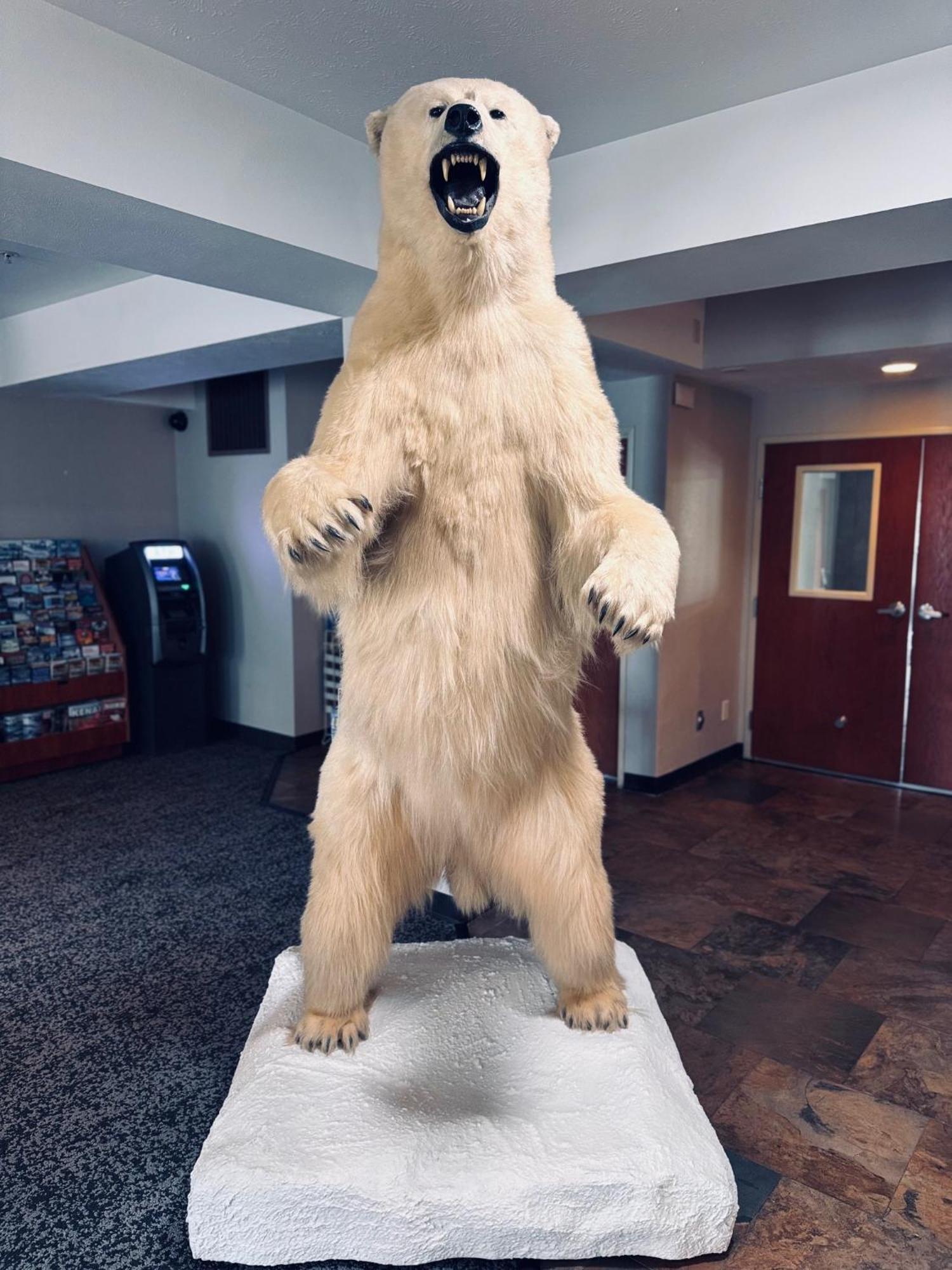 Готель Wyndham Garden Anchorage Airport Екстер'єр фото